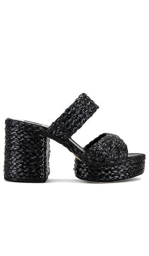 Latoya Sandal in . - size 10 (also in 9.5) - Dolce Vita - Modalova