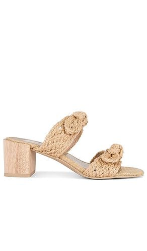 Zemmie Sandal in Neutral. - size 6 (also in 6.5) - Dolce Vita - Modalova