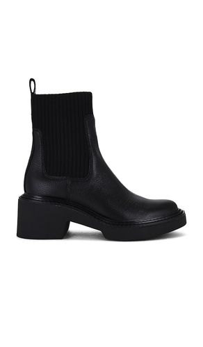 Hilora H20 Boot in . - size 10 (also in 6, 6.5, 7.5, 8, 8.5, 9, 9.5) - Dolce Vita - Modalova