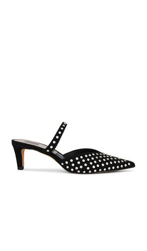 Kanika Mid Crystal Stud Mule in . - size 6 (also in 6.5, 7, 7.5, 8, 8.5) - Dolce Vita - Modalova