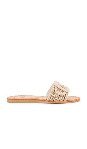 Dilly Sandal in Cream. - size 6 (also in 7.5, 8.5) - Dolce Vita - Modalova