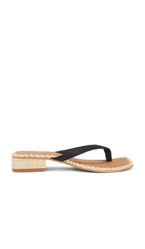 Barty Sandal in Black. - size 6 (also in 7.5, 8.5, 9.5) - Dolce Vita - Modalova