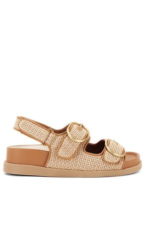 Starla Sandal in Beige. - size 7.5 (also in 9, 9.5) - Dolce Vita - Modalova