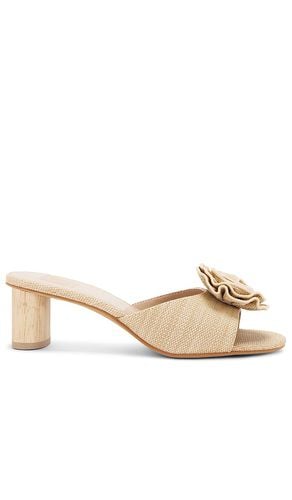 Darly Heels in Beige. - size 6.5 (also in 7) - Dolce Vita - Modalova