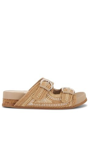 Ralli Sandal in Beige. - size 8.5 (also in 9.5) - Dolce Vita - Modalova