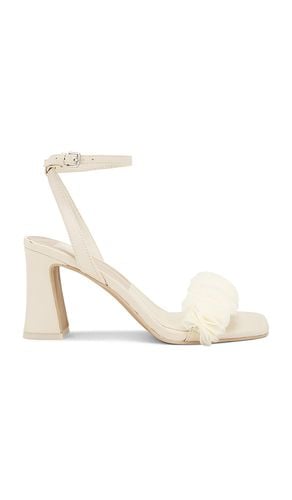 Iesha Sandal in . - size 6 (also in 7, 7.5, 8, 8.5, 9) - Dolce Vita - Modalova