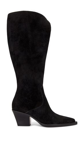 Raj Wide Calf Boot in . - size 10 (also in 6.5, 7.5, 8, 8.5) - Dolce Vita - Modalova