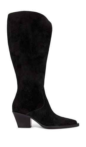 Raj Wide Calf Boot in . - size 10 (also in 6, 6.5, 7, 7.5, 8) - Dolce Vita - Modalova