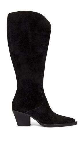 Raj Wide Calf Boot in . - size 6 (also in 6.5, 8.5) - Dolce Vita - Modalova