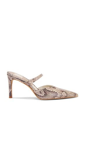 Knaika Mule in Beige. - size 10 (also in 6, 6.5, 7.5, 8, 8.5, 9, 9.5) - Dolce Vita - Modalova