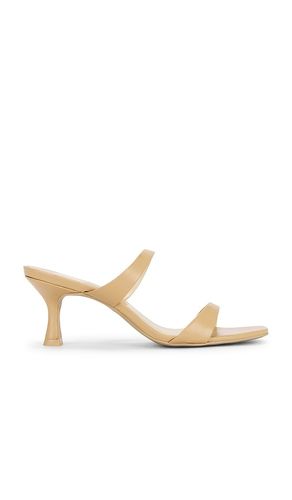Genora Sandal in Brown. - size 10 (also in 6, 7, 7.5, 8, 8.5, 9, 9.5) - Dolce Vita - Modalova
