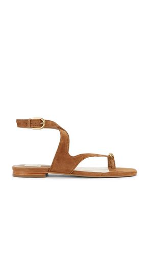 Earla Sandal in . - size 7 (also in 7.5, 8, 8.5, 9) - Dolce Vita - Modalova