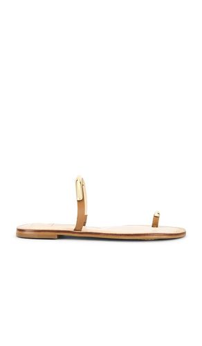 Wink Sandal in Brown. - size 6 (also in 6.5, 7, 7.5, 8, 8.5, 9, 9.5) - Dolce Vita - Modalova
