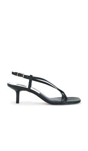 Laury Sandal in . - size 8.5 (also in 9.5) - Dolce Vita - Modalova
