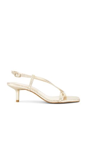 Laury Sandal in Metallic Gold. - size 6 (also in 6.5, 7, 7.5, 8, 8.5, 9, 9.5) - Dolce Vita - Modalova