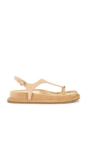 Stefan Gemstone Sandal in Beige. - size 6 (also in 6.5, 7, 7.5, 8, 8.5, 9, 9.5) - Dolce Vita - Modalova