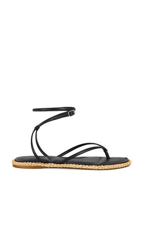 Cove Sandal in . - size 10 (also in 6, 6.5, 7, 7.5, 8, 8.5, 9, 9.5) - Dolce Vita - Modalova