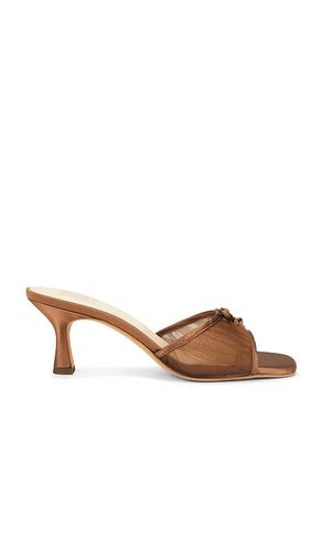 Galen Mule in Brown. - size 7 (also in 7.5, 8, 8.5, 9) - Dolce Vita - Modalova