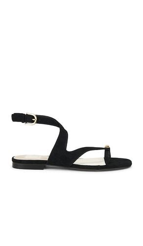 Earla Sandal in Black. - size 10 (also in 6, 6.5, 7.5, 8, 9.5) - Dolce Vita - Modalova