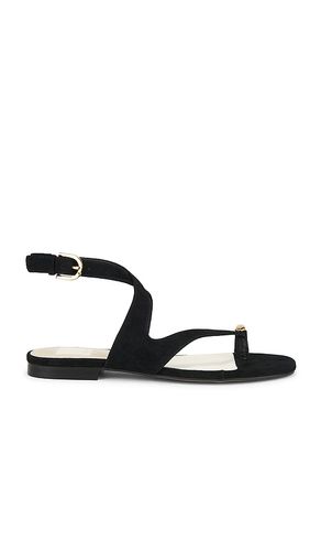 Earla Sandal in Black. - size 10 (also in 6, 6.5, 7, 7.5, 8, 8.5, 9, 9.5) - Dolce Vita - Modalova
