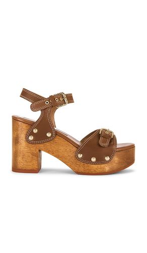 Yandy Sandal in . - size 10 (also in 7, 7.5, 8, 8.5, 9, 9.5) - Dolce Vita - Modalova