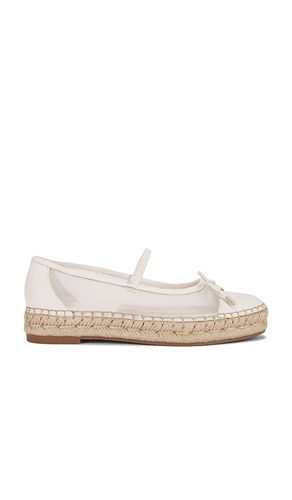 Cambre Flat in . - size 10 (also in 7, 7.5, 8, 8.5, 9) - Dolce Vita - Modalova