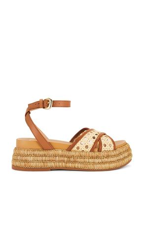 Wriley Sandal in Brown. - size 10 (also in 6, 6.5, 7, 7.5, 8, 8.5, 9, 9.5) - Dolce Vita - Modalova