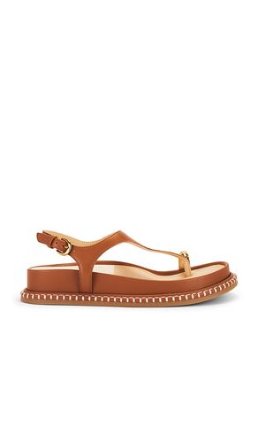 SANDALE STEFFAN in . Größe 6.5. Also in 7, 7.5, 8, 9 - Dolce Vita - Modalova