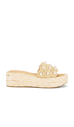 Caper Pearl Sandal in Neutral. - size 10 (also in 7, 7.5, 8, 8.5, 9, 9.5) - Dolce Vita - Modalova