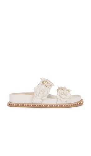 Sherla Sandal in White. - size 6.5 (also in 7.5, 8, 9.5) - Dolce Vita - Modalova