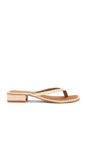 SANDALE BARTY in . Größe 7.5. Also in 9 - Dolce Vita - Modalova