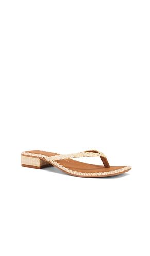 SANDALE BARTY in . Größe 7.5. Also in 9 - Dolce Vita - Modalova