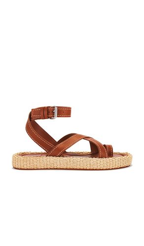 Roxie Sandal in . - size 6.5 (also in 7, 7.5, 8, 8.5, 9, 9.5) - Dolce Vita - Modalova