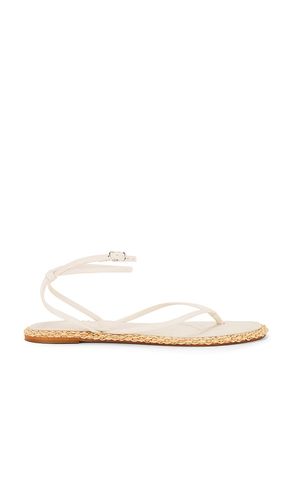 Cove Sandal in White. - size 10 (also in 6, 6.5, 7, 7.5, 8, 8.5, 9.5) - Dolce Vita - Modalova