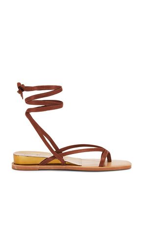 Rudie Sandal in Brown. - size 6.5 (also in 7, 7.5, 8, 8.5, 9) - Dolce Vita - Modalova
