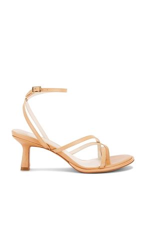 Morah Sandal in Brown. - size 6 (also in 6.5, 7, 7.5, 8, 8.5, 9) - Dolce Vita - Modalova