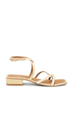 Brinn Sandal in Cream. - size 10 (also in 6, 6.5, 7.5, 8, 8.5, 9, 9.5) - Dolce Vita - Modalova