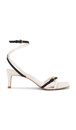Bamby Sandal in ,. - size 10 (also in 6, 6.5, 7, 7.5, 8, 8.5, 9) - Dolce Vita - Modalova