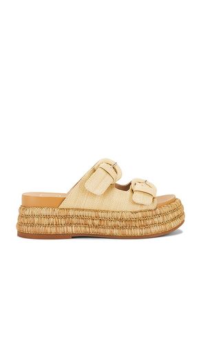 Witny Sandal in Neutral. - size 10 (also in 8, 8.5, 9.5) - Dolce Vita - Modalova