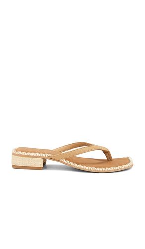 SANDALE BARTY in . Größe 6. Also in 6.5, 8 - Dolce Vita - Modalova