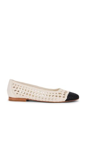 Catia Flat in White. - size 6 (also in 8.5, 9) - Dolce Vita - Modalova