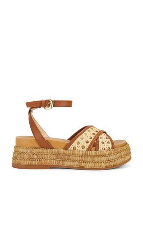 Wriley Sandal in Neutral. - size 10 (also in 6.5, 7, 7.5, 8, 8.5, 9, 9.5) - Dolce Vita - Modalova