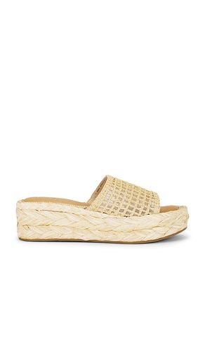 Chavi Mesh Sandal in Beige. - size 10 (also in 6.5, 8.5, 9.5) - Dolce Vita - Modalova