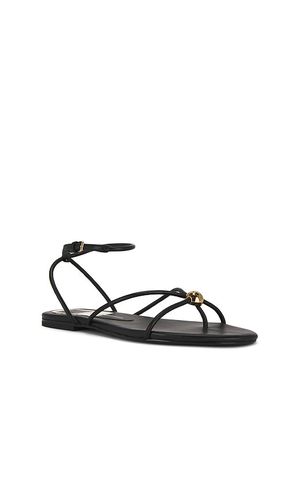 SANDALE KENLEY in . Größe 6. Also in 7.5, 8, 9 - Dolce Vita - Modalova