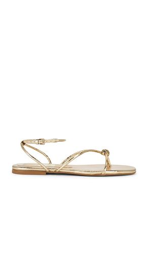 SANDALE KENLEY in . Größe 6.5. Also in 7 - Dolce Vita - Modalova