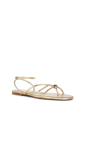 SANDALE KENLEY in . Größe 6.5. Also in 7 - Dolce Vita - Modalova