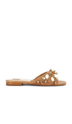 SANDALE LIZZA in . Größe 6. Also in 6.5, 7, 7.5, 8, 8.5, 9 - Dolce Vita - Modalova