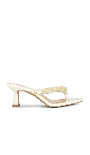 FLIP-FLOP MIT ABSATZ DAKSIE in . Größe 6.5. Also in 7, 8 - Dolce Vita - Modalova