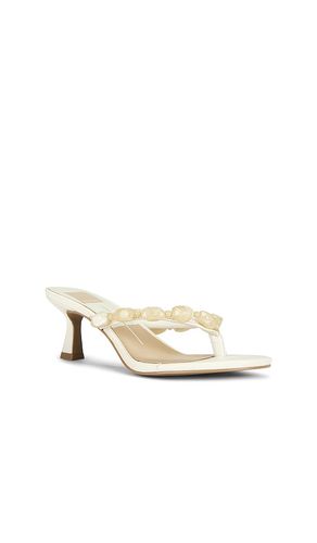 FLIP-FLOP MIT ABSATZ DAKSIE in . Größe 6.5. Also in 7, 8 - Dolce Vita - Modalova