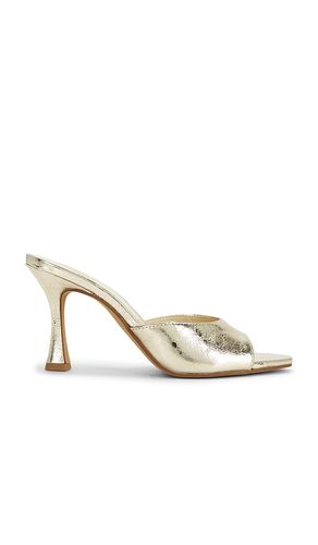 SANDALE ROSHA in . Größe 10. Also in 6, 7, 7.5, 8.5 - Dolce Vita - Modalova